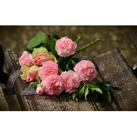 Fototapetas Rožinės gėlės
